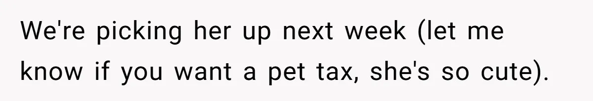 We're picking her up next week (let me know if you want a pet tax, she's so cute).