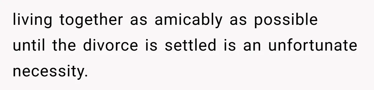 Man Faces A Heartbreaking Reality After His Wife Gives Birth To A Child That Isn’t His, Here’s What Happens Next living together as amicably as possible until the divorce is settled is an unfortunate necessity.