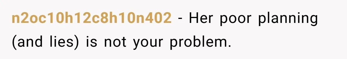 She Refused to Babysit Again After Her Sister Lied, Now She’s Being Called Selfish n2oc10h12c8h10n402 − Her poor planning (and lies) is not your problem.