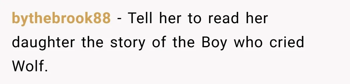 She Refused to Babysit Again After Her Sister Lied, Now She’s Being Called Selfish bythebrook88 − Tell her to read her daughter the story of the Boy who cried Wolf.