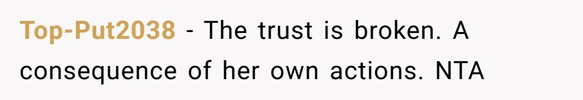 She Refused to Babysit Again After Her Sister Lied, Now She’s Being Called Selfish Top-Put2038 − The trust is broken. A consequence of her own actions. NTA