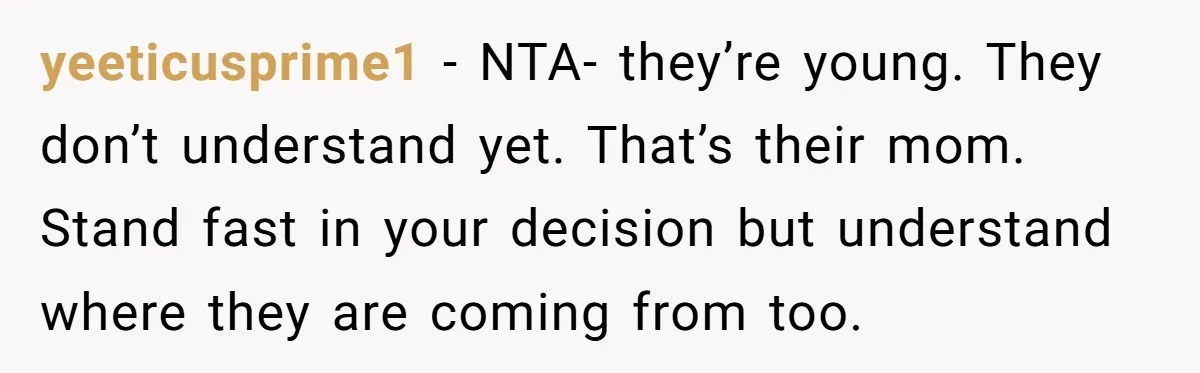 His Kids Want Him to Help Their Struggling Mom, But He Refuses, and Now They Think He’s Heartless yeeticusprime1 − NTA- they’re young. They don’t understand yet. That’s their mom. Stand fast in your decision but understand where they are coming from too.