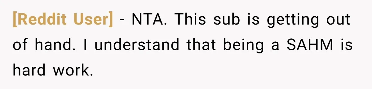 [Reddit User] − NTA. This sub is getting out of hand. I understand that being a SAHM is hard work.