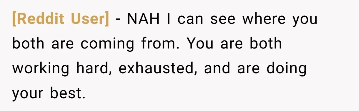 [Reddit User] − NAH I can see where you both are coming from. You are both working hard, exhausted, and are doing your best.