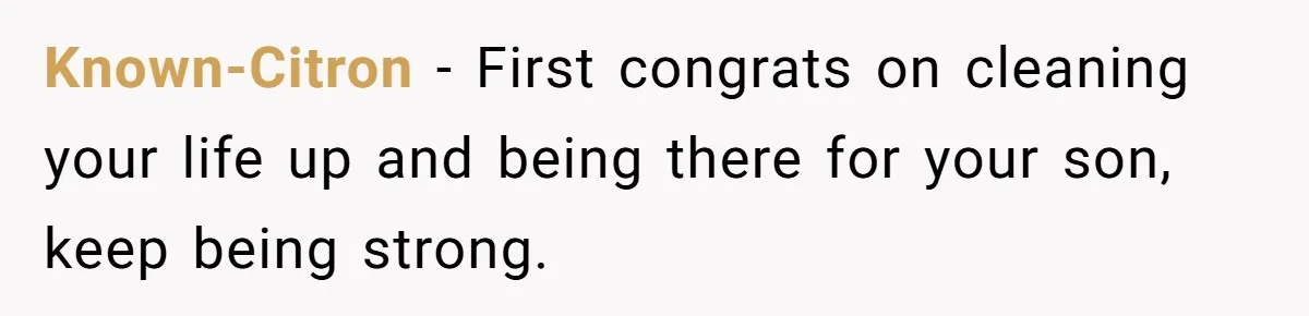 Known-Citron − First congrats on cleaning your life up and being there for your son, keep being strong.