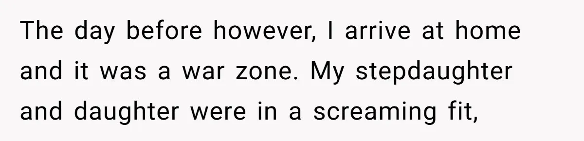 The day before however, I arrive at home and it was a war zone. My stepdaughter and daughter were in a screaming fit,