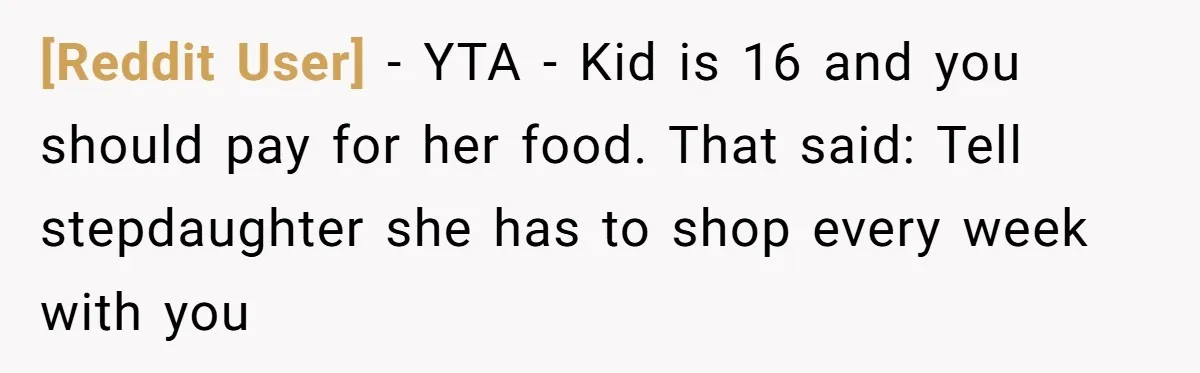 [Reddit User] − YTA - Kid is 16 and you should pay for her food. That said: Tell stepdaughter she has to shop every week with you