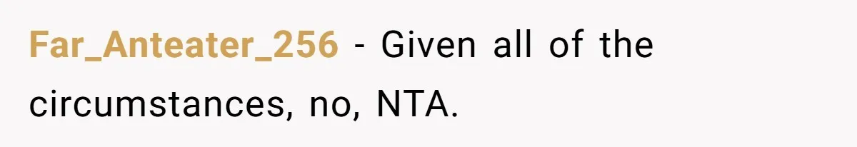 Far_Anteater_256 − Given all of the circumstances, no, NTA.