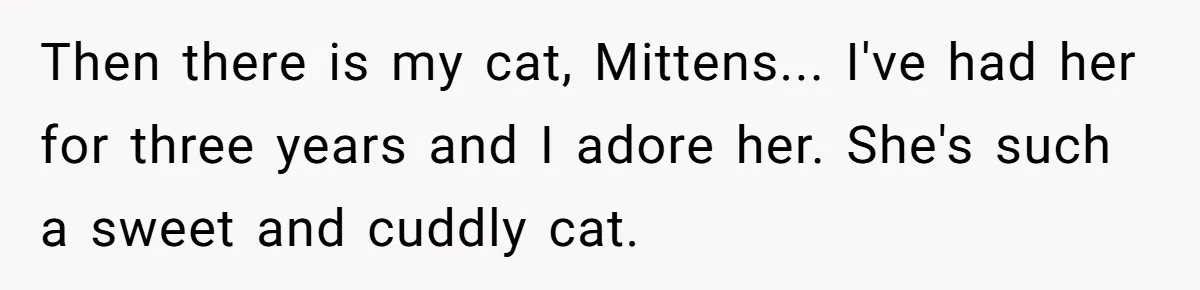 Then there is my cat, Mittens... I've had her for three years and I adore her. She's such a sweet and cuddly cat.