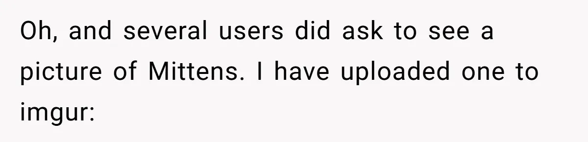 Oh, and several users did ask to see a picture of Mittens. I have uploaded one to imgur: