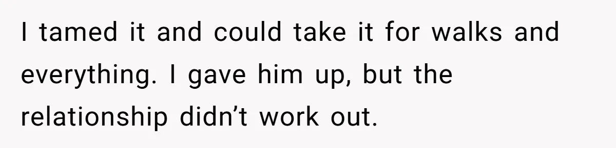 I tamed it and could take it for walks and everything. I gave him up, but the relationship didn’t work out.