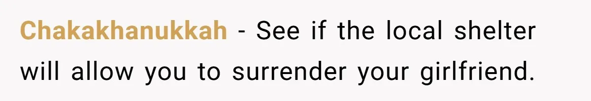 Chakakhanukkah − See if the local shelter will allow you to surrender your girlfriend.