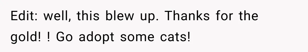 Edit: well, this blew up. Thanks for the gold! ! Go adopt some cats!