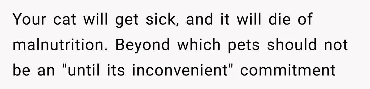 Your cat will get sick, and it will die of malnutrition. Beyond which pets should not be an "until its inconvenient" commitment