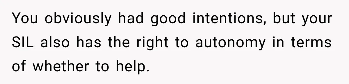 You obviously had good intentions, but your SIL also has the right to autonomy in terms of whether to help.