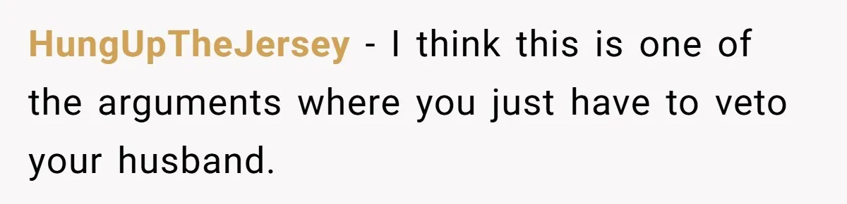 HungUpTheJersey − I think this is one of the arguments where you just have to veto your husband.