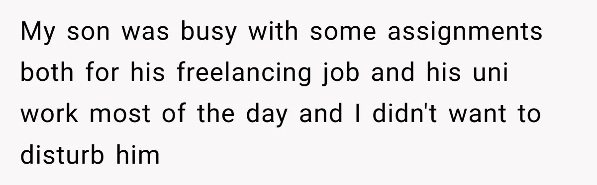 My son was busy with some assignments both for his freelancing job and his uni work most of the day and I didn't want to disturb him