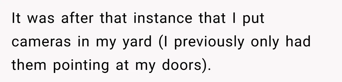 It was after that instance that I put cameras in my yard (I previously only had them pointing at my doors).