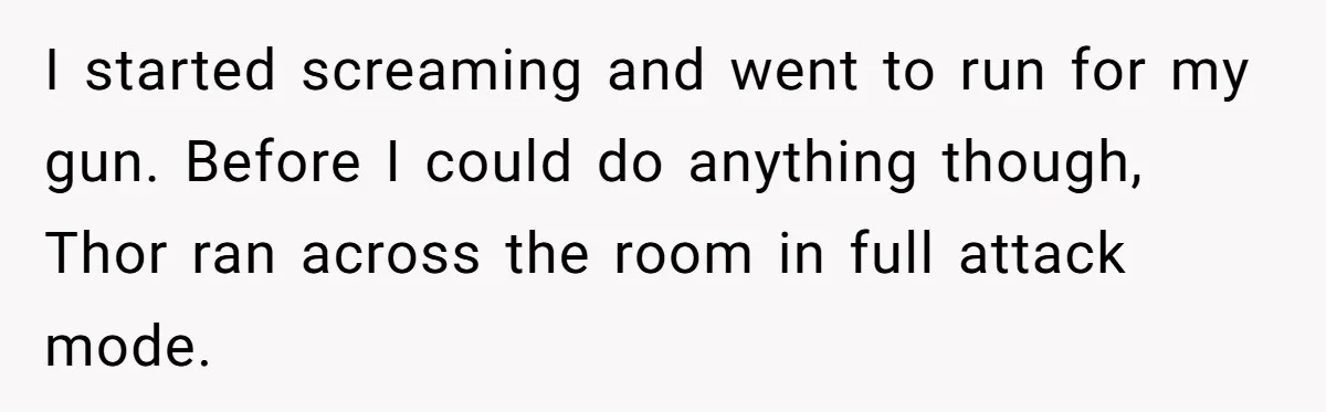 I started screaming and went to run for my gun. Before I could do anything though, Thor ran across the room in full attack mode.