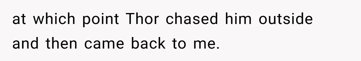 at which point Thor chased him outside and then came back to me.