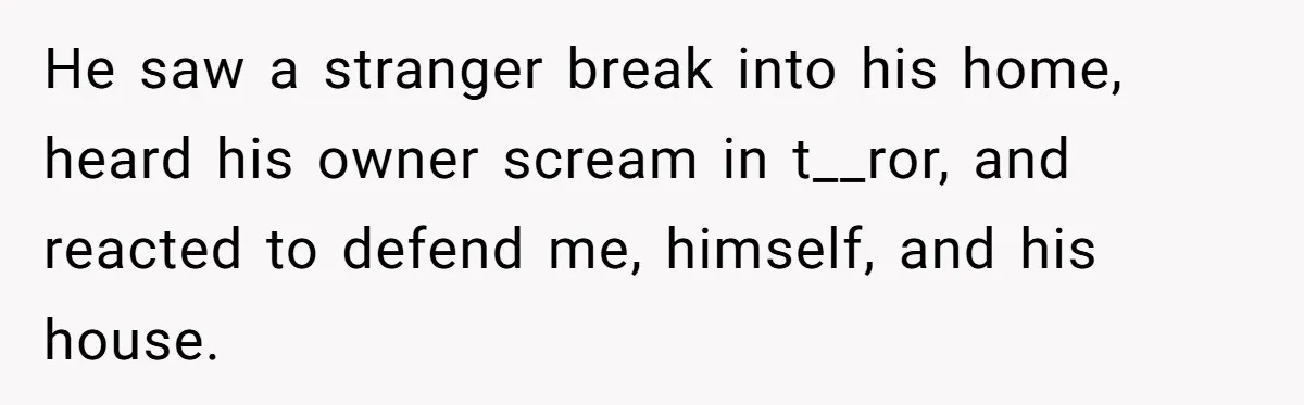 He saw a stranger break into his home, heard his owner scream in t__ror, and reacted to defend me, himself, and his house.