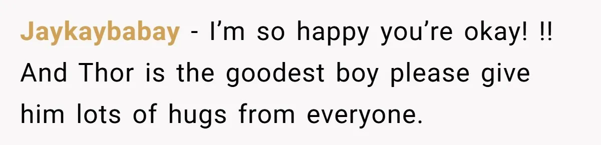 Jaykaybabay − I’m so happy you’re okay! !! And Thor is the goodest boy please give him lots of hugs from everyone.