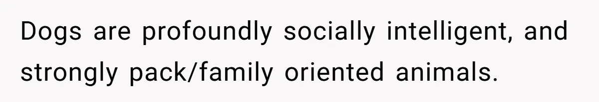 Dogs are profoundly socially intelligent, and strongly pack/family oriented animals.