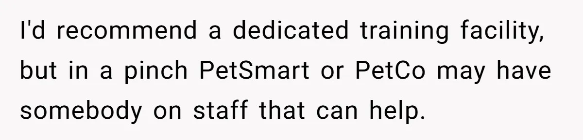 I'd recommend a dedicated training facility, but in a pinch PetSmart or PetCo may have somebody on staff that can help.