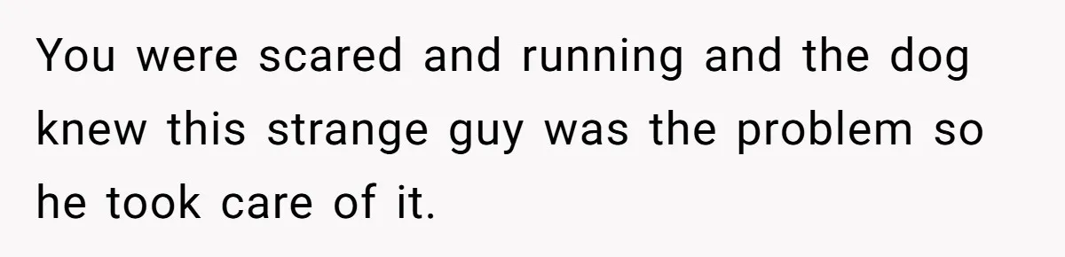 You were scared and running and the dog knew this strange guy was the problem so he took care of it.