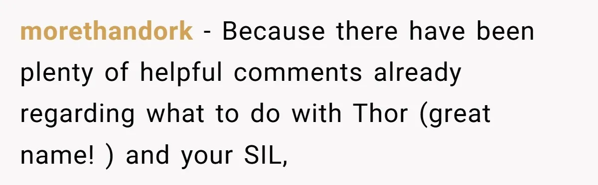 morethandork − Because there have been plenty of helpful comments already regarding what to do with Thor (great name! ) and your SIL,