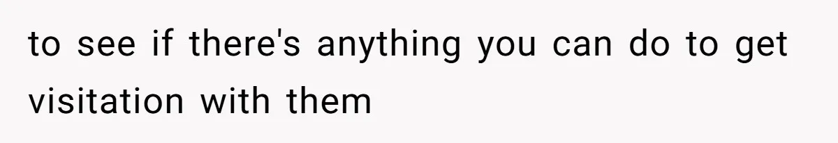 to see if there's anything you can do to get visitation with them