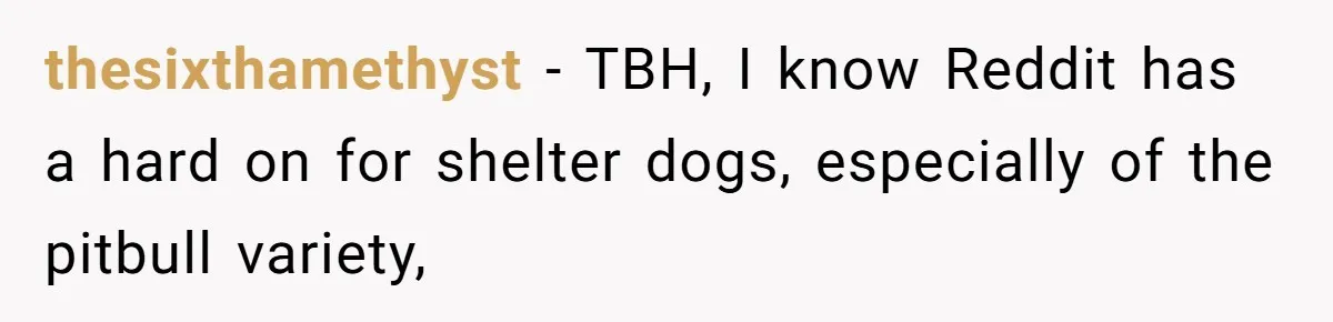 thesixthamethyst − TBH, I know Reddit has a hard on for shelter dogs, especially of the pitbull variety,
