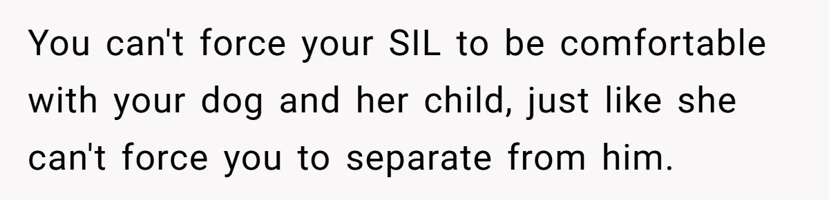 You can't force your SIL to be comfortable with your dog and her child, just like she can't force you to separate from him.