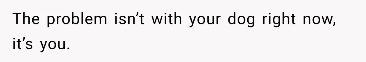 The problem isn’t with your dog right now, it’s you.
