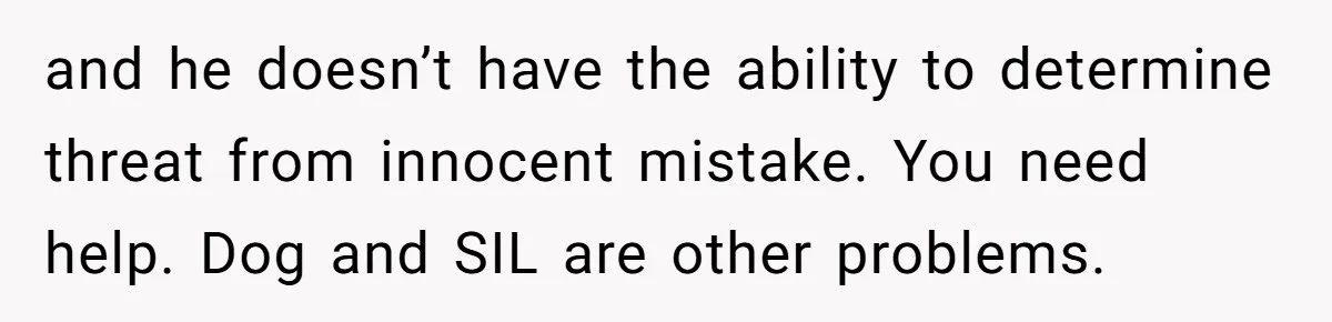 and he doesn’t have the ability to determine threat from innocent mistake. You need help. Dog and SIL are other problems.