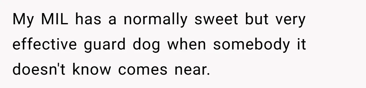 My MIL has a normally sweet but very effective guard dog when somebody it doesn't know comes near.