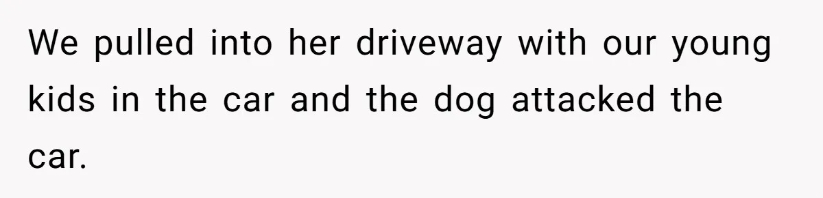 We pulled into her driveway with our young kids in the car and the dog attacked the car.