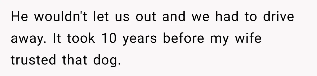 He wouldn't let us out and we had to drive away. It took 10 years before my wife trusted that dog.