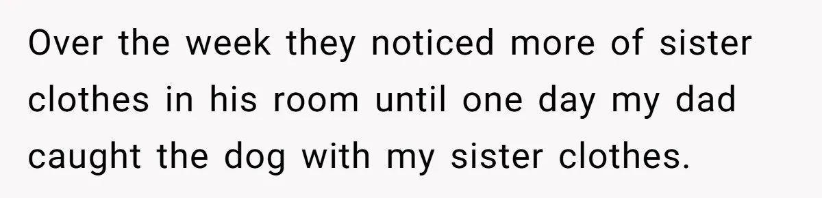 Over the week they noticed more of sister clothes in his room until one day my dad caught the dog with my sister clothes.