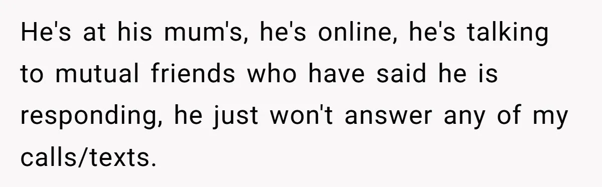 He's at his mum's, he's online, he's talking to mutual friends who have said he is responding, he just won't answer any of my calls/texts.