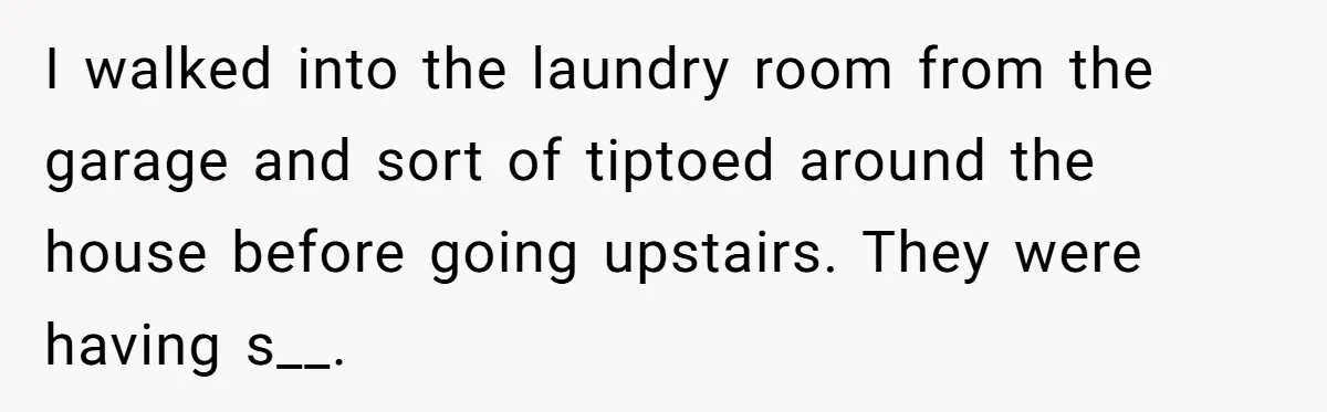 I walked into the laundry room from the garage and sort of tiptoed around the house before going upstairs. They were having s__.