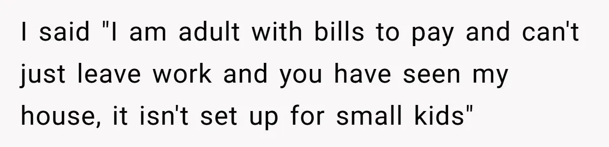 I said "I am adult with bills to pay and can't just leave work and you have seen my house, it isn't set up for small kids"