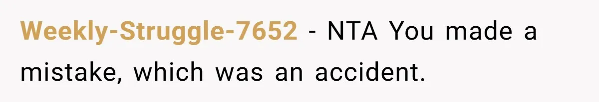 Weekly-Struggle-7652 − NTA You made a mistake, which was an accident.