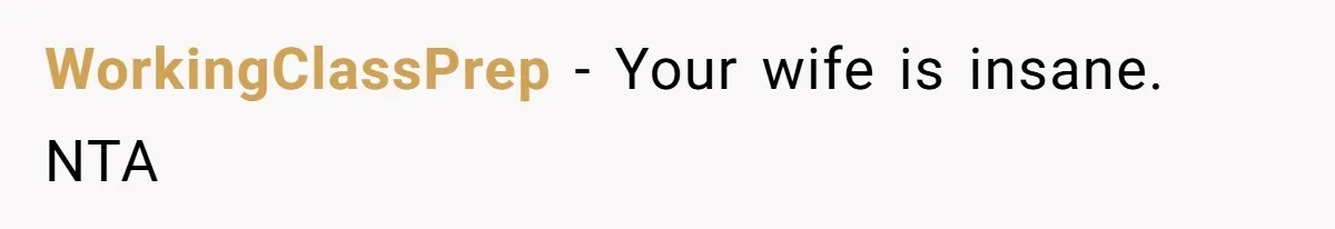 WorkingClassPrep − Your wife is insane. NTA
