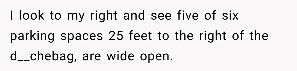 I look to my right and see five of six parking spaces 25 feet to the right of the d__chebag, are wide open.