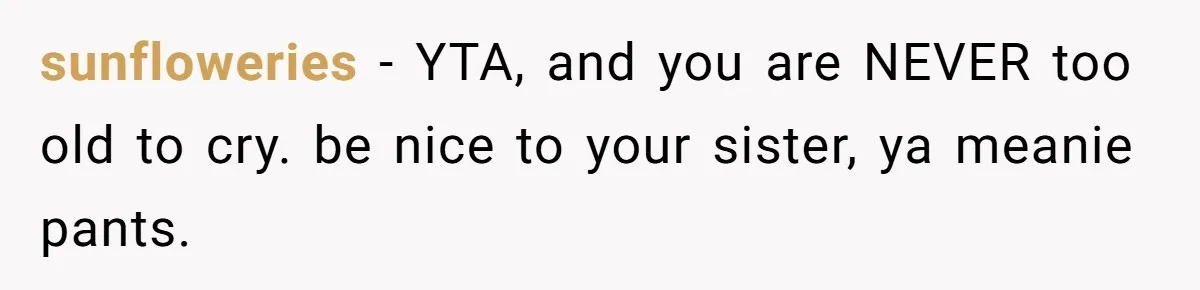 Teenage Boy Warns Excited Sister He Will Pretend She Does Not Exist At School sunfloweries − YTA, and you are NEVER too old to cry. be nice to your sister, ya meanie pants.