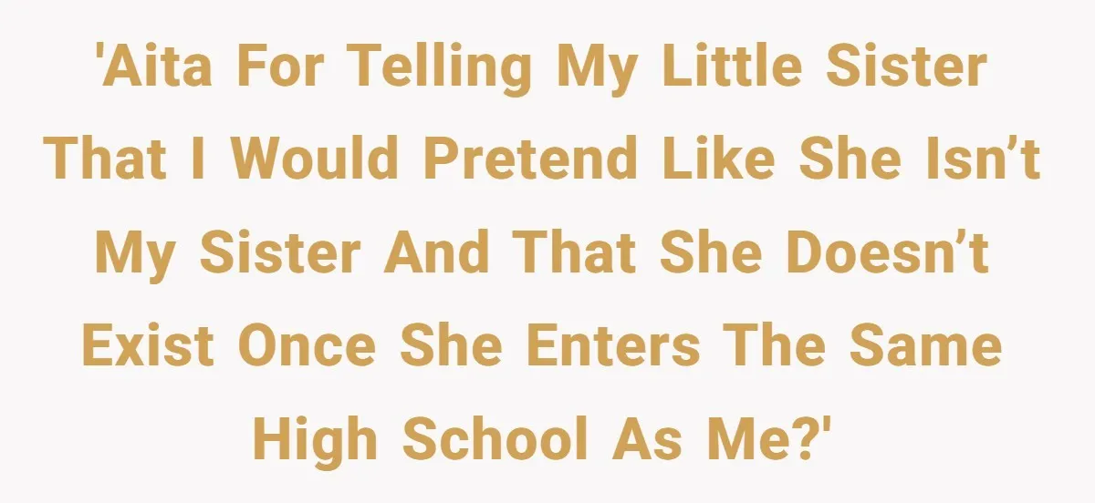Teenage Boy Warns Excited Sister He Will Pretend She Does Not Exist At School 'AITA for telling my little sister that I would pretend like she isn’t my sister and that she doesn’t exist once she enters the same high school as me?'