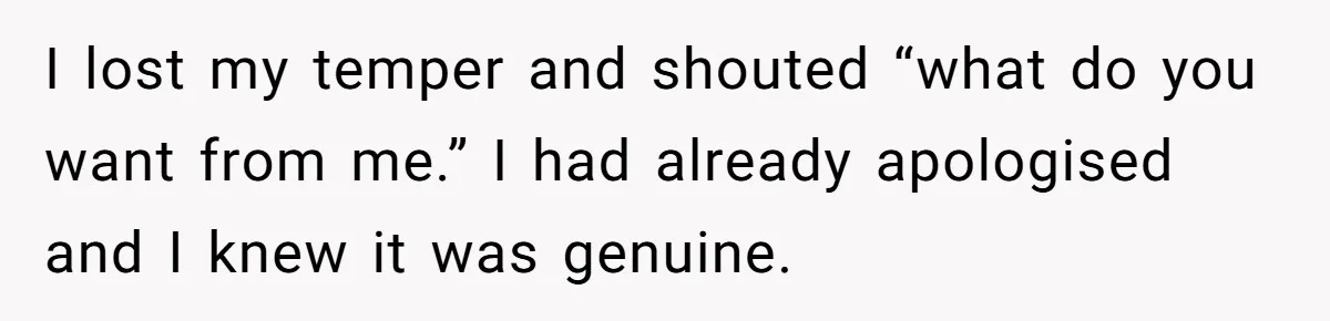 I lost my temper and shouted “what do you want from me.” I had already apologised and I knew it was genuine.