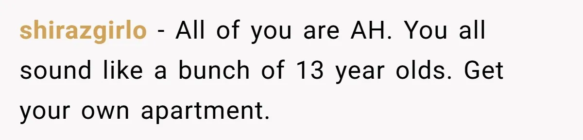 shirazgirlo − All of you are AH. You all sound like a bunch of 13 year olds. Get your own apartment.