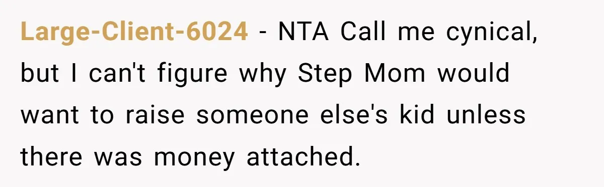 Large-Client-6024 − NTA Call me cynical, but I can't figure why Step Mom would want to raise someone else's kid unless there was money attached.